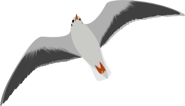 Sea Gull Seagull clip art - vector clip art online, royalty free ...