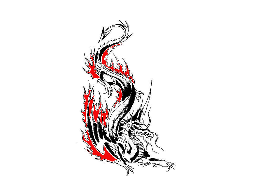 Download Free Designs Dragon In Flame Tattoo Wallpaper | Tattoo ...