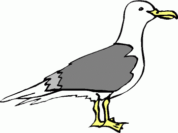 Seagull Clipart Black And White | Clipart Panda - Free Clipart Images