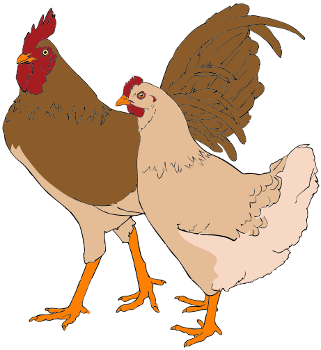 Rooster and Hen Clipart « FrPic