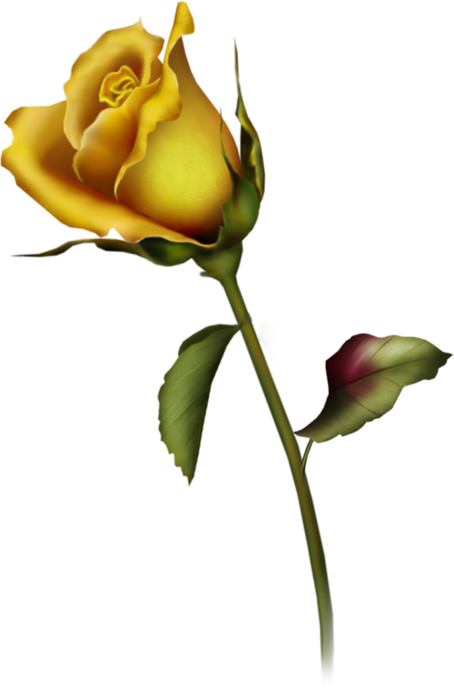 clipart of yellow roses - photo #3