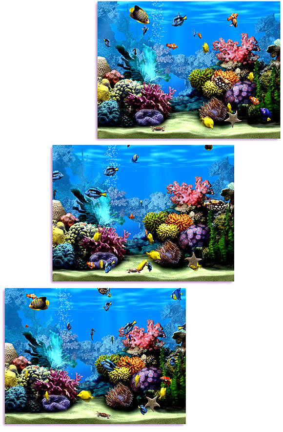 Marine Fish Aquarium Screen Saver Download, Free
