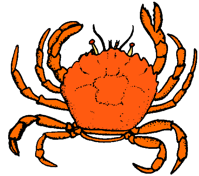 Hermit Crab Clipart Gif | Clipart Panda - Free Clipart Images