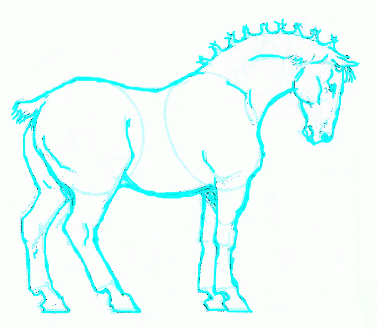 Exam Guide Online - How to Draw a Belgian Horse.