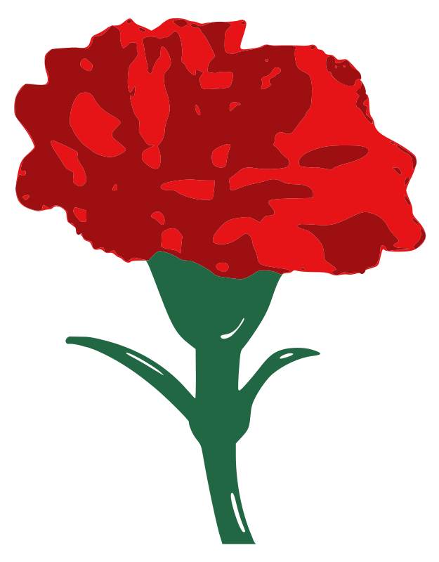 Carnation Clip Art Download