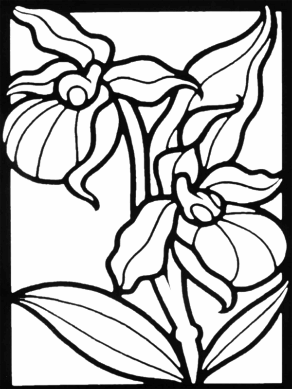 Pictxeer » Search Results » Printable Coloring Pictures Of Flowers