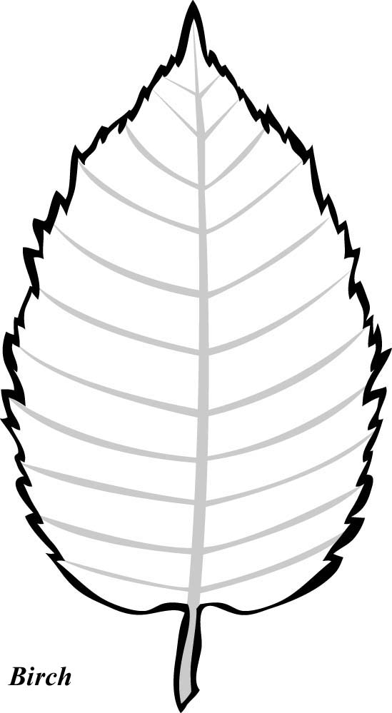 Apple Leaf Template Cliparts co