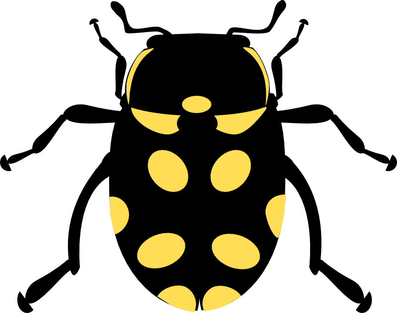 Clipart - Eriopis Canrash Bug