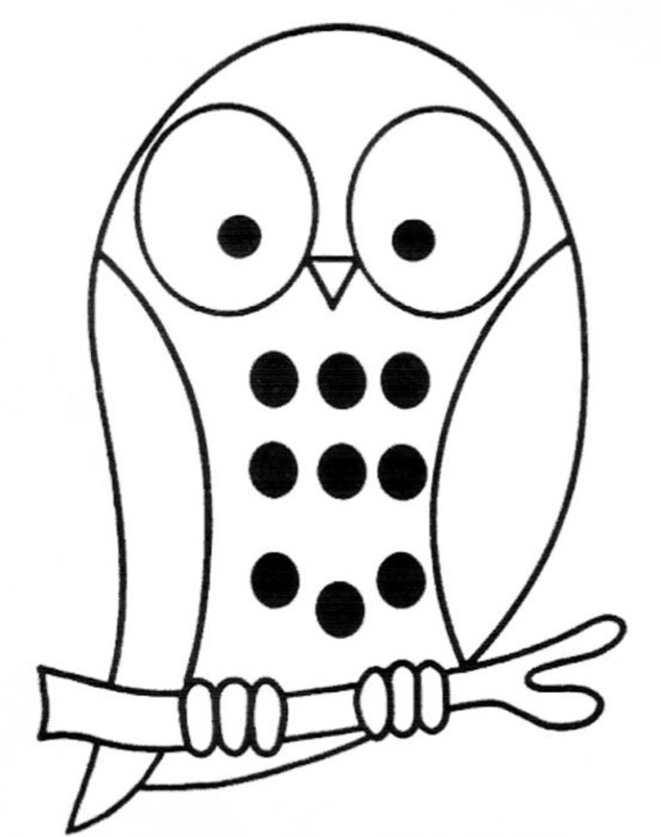 Pictxeer » Search Results » Owl Colouring