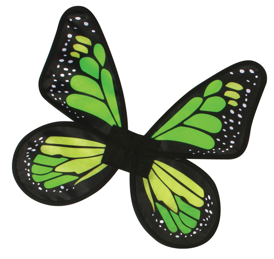 Butterfly Wings Satin Adult Costume Green & Halloween Costumes ...