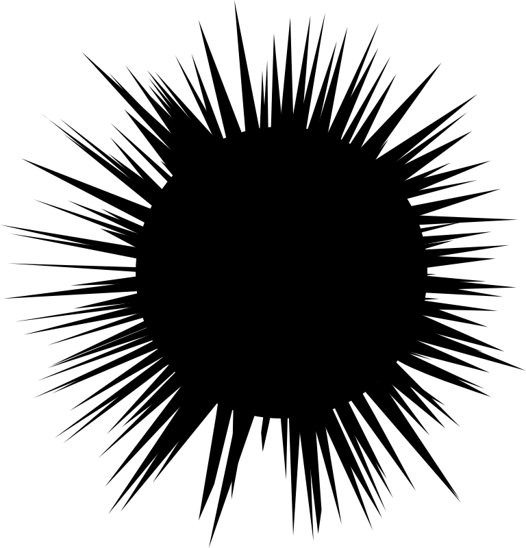 Clipart - sea urchin silhouette