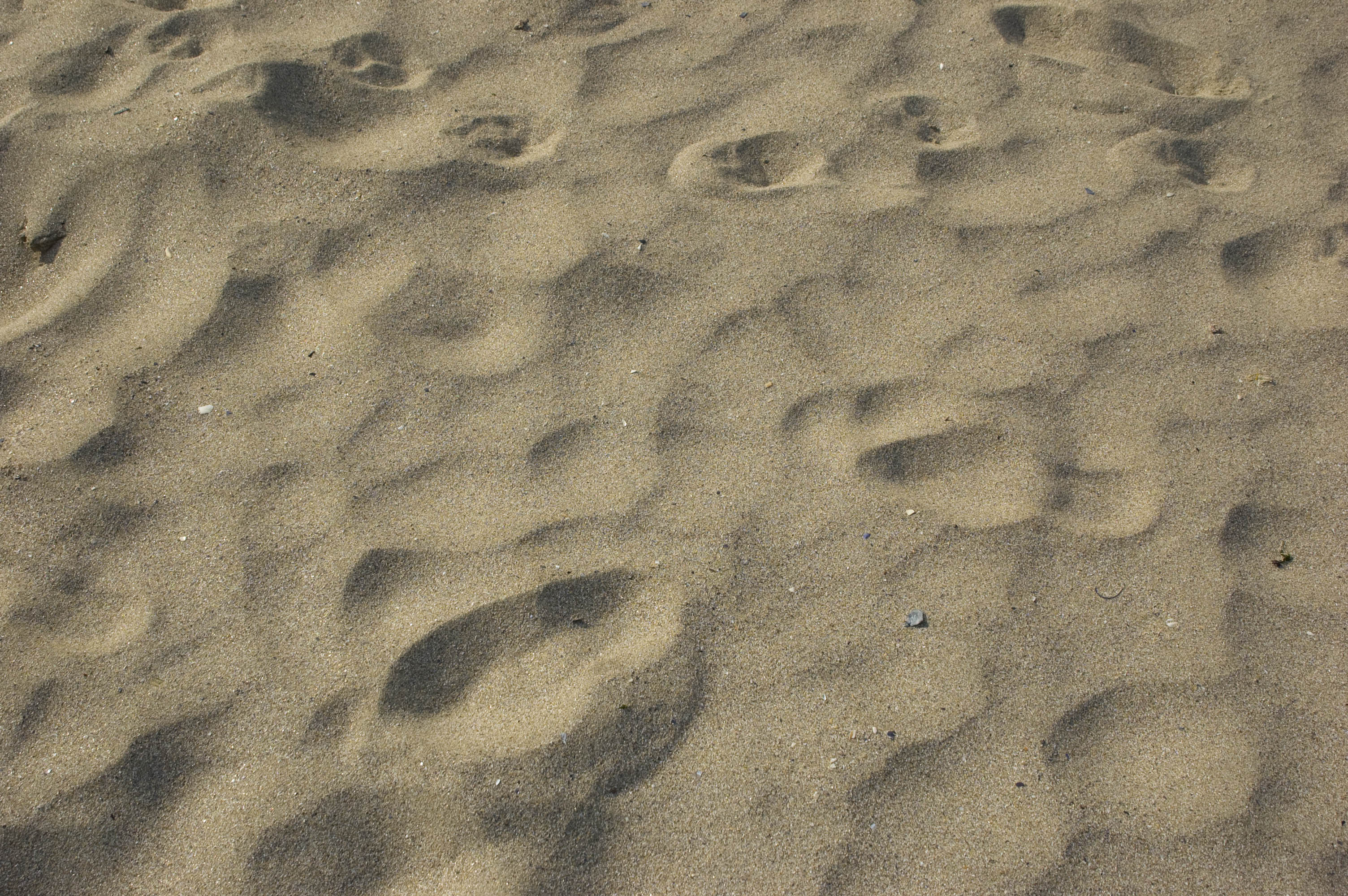 Sand_texture1019.jpg - Cliparts.co