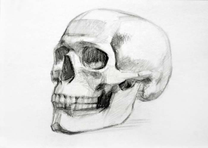 Drawing skulls - How to Draw Skull