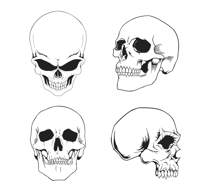 Free Vector Skulls Pack by artamp on DeviantArt