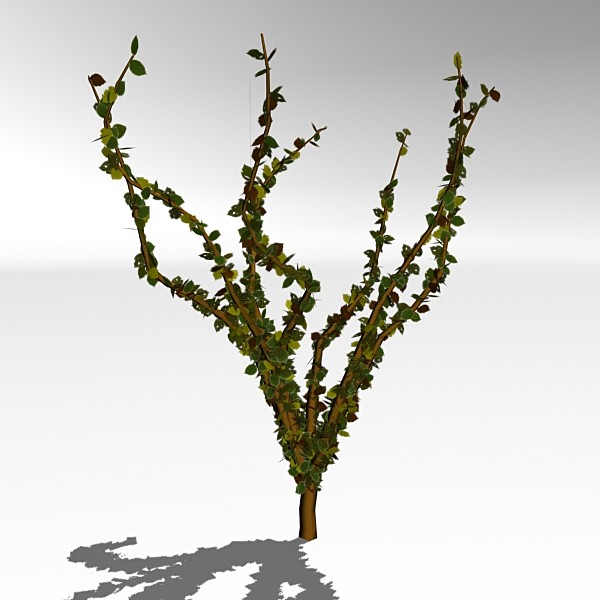 animation leaves fall tree 3d model