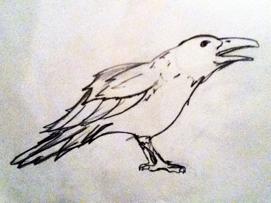 Crow Drawing Outline - Gallery