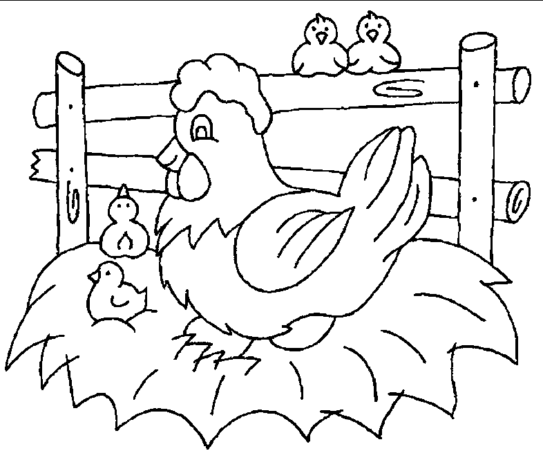 Chicken Coloring Pages For Kids - AZ Coloring Pages