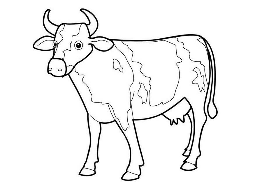 Simple Cow outline Coloring Pages for kids | Free coloring pages ...