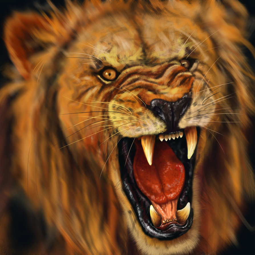 Pissed Off Lion by KurtisDawe on DeviantArt