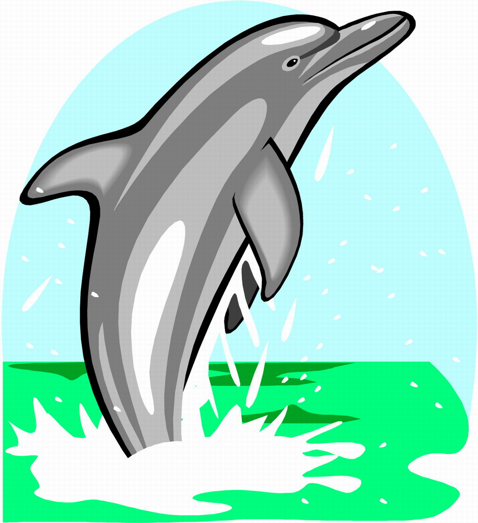 dolphin kids picture flash cards, dolphin picture memory game cards