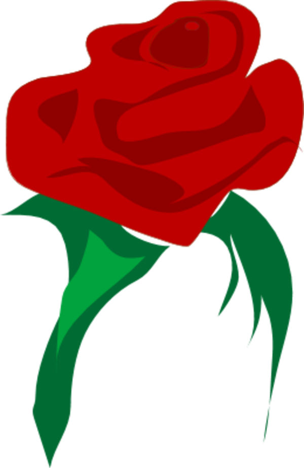 red rose - vector Clip Art