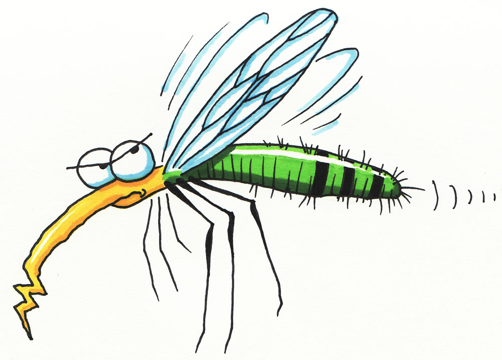 Mosquito Clip Art Animated