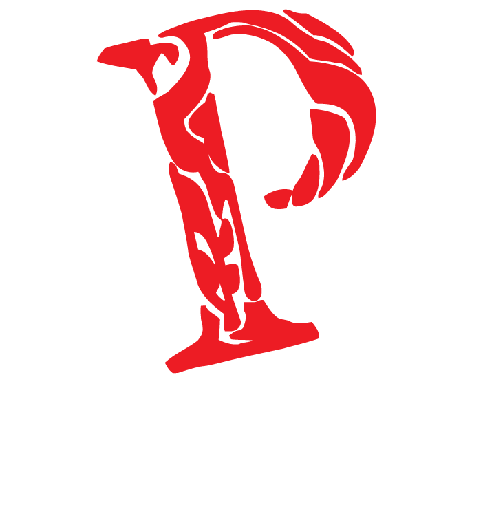Pezigns | Graphic Design Studio Excelsior, MN