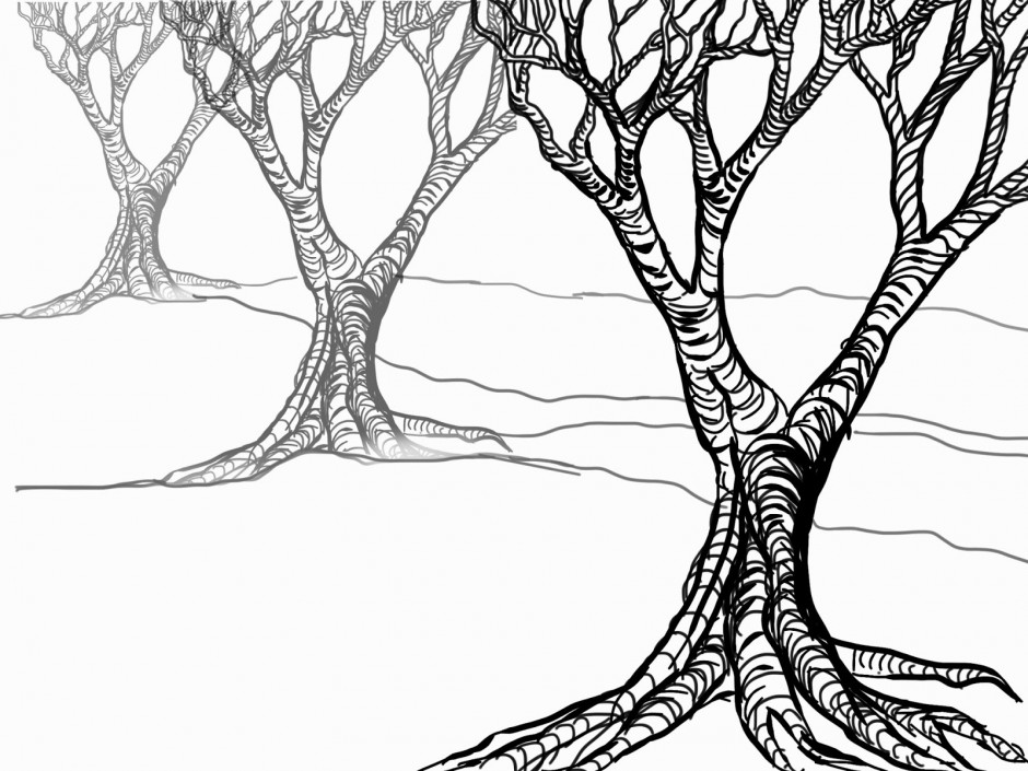 Pictures Of Trees With No Leaves ClipArt Best 292332 Tree Without ...
