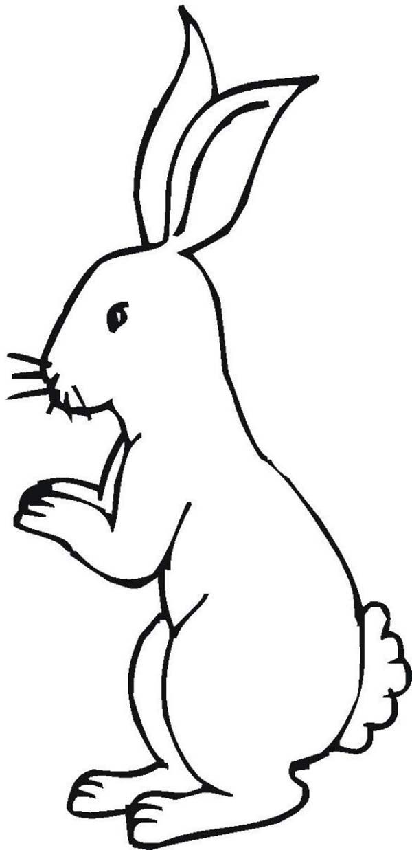 Little Bunny Standing on His Feet Coloring Page - Download & Print ...