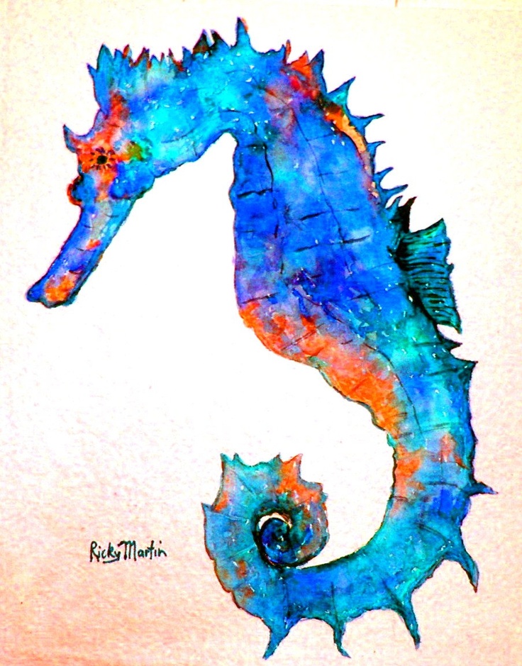 Pin by Rhonda Hicken on Marine Life | Pinterest