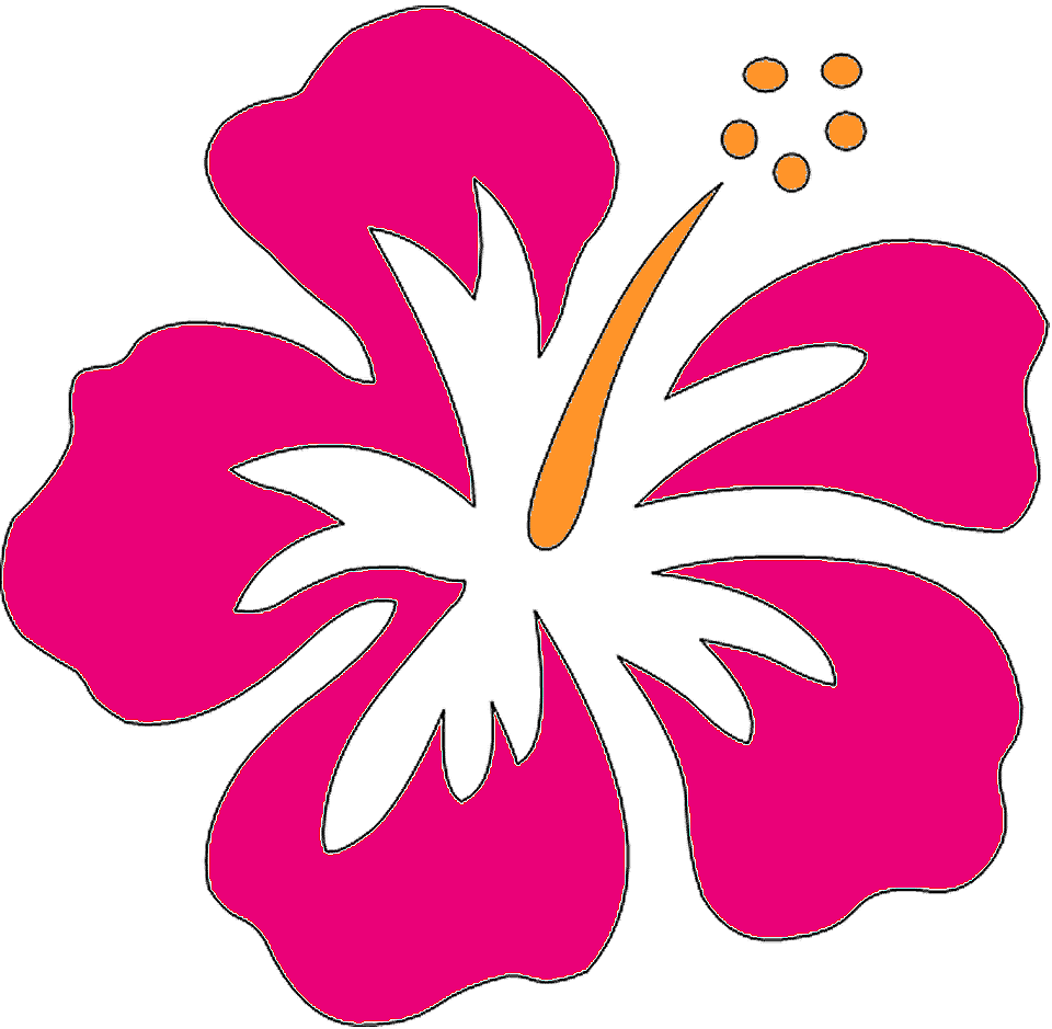 Flowers For > Pink Hawaiian Flower Clip Art