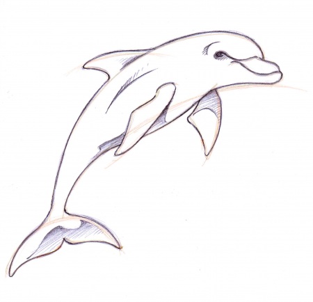 Royalty Free Vector Clip Art Illustration Of Jumping Dolphin Image ...