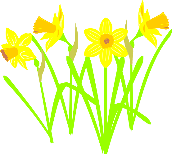 daffodil flower clip art free - photo #31