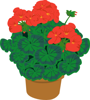 Free Geranium Flower Clip Art