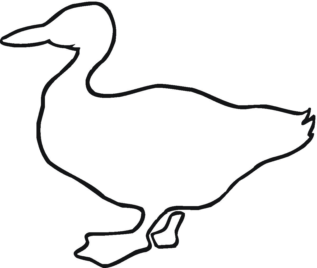 Printable Duck Outline Coloring Page Best Res | ViolasGallery.com