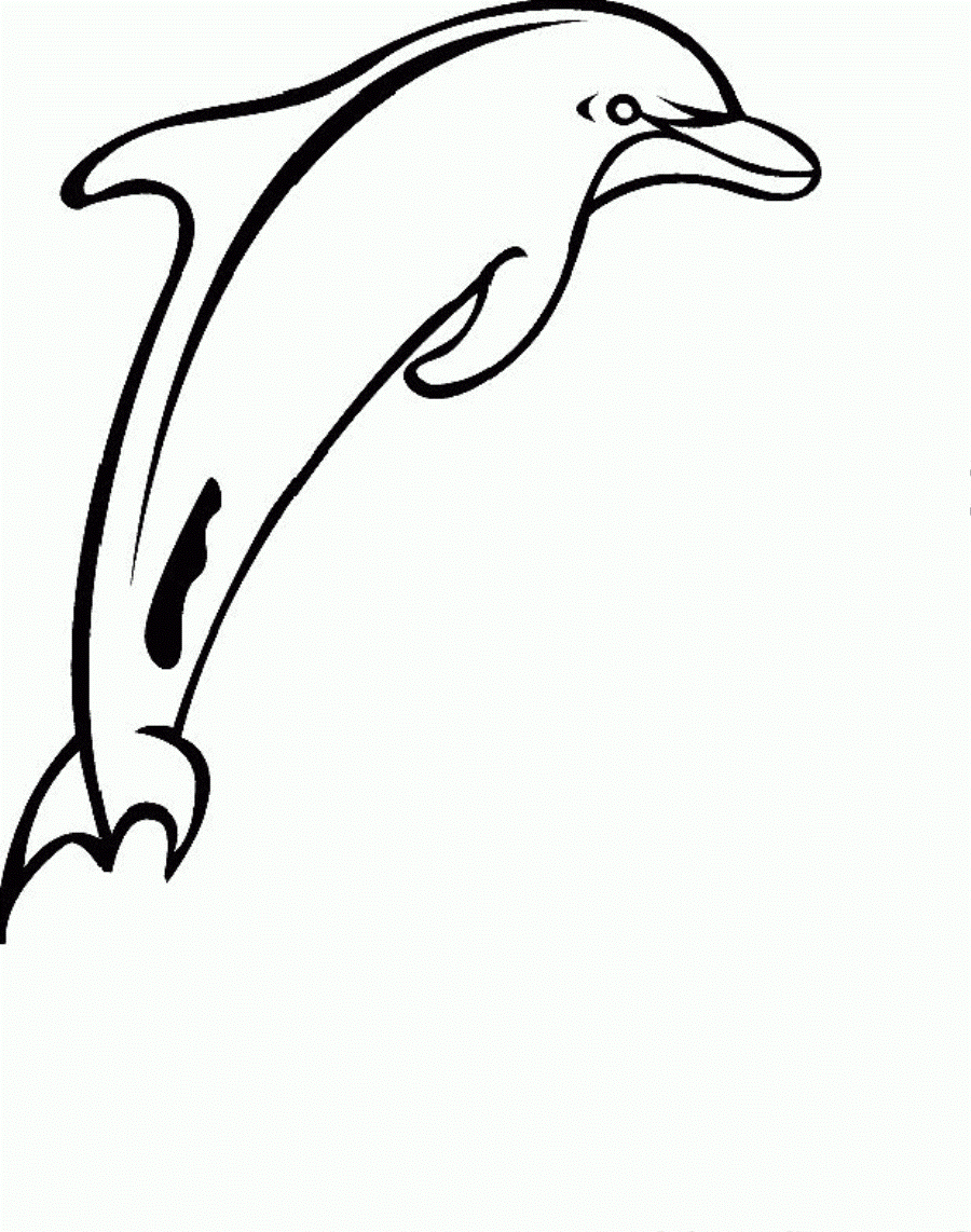 Sleeky Dolphin Coloring Page | Coloringplus.com