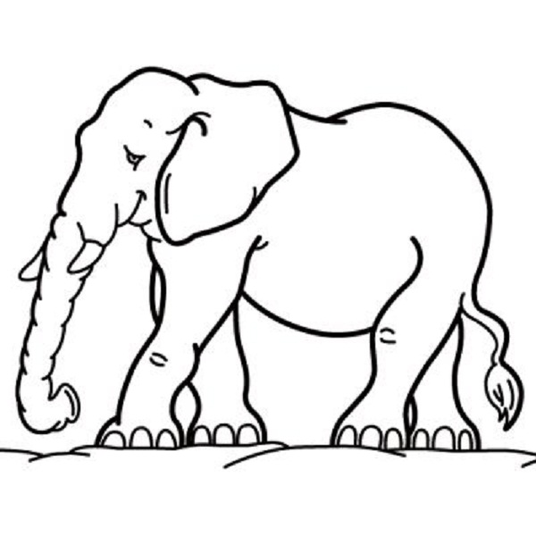 coloring pages with elephants | Coloring Kids