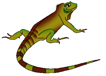 Free Iguana and Lizards Clip Art by Phillip Martin