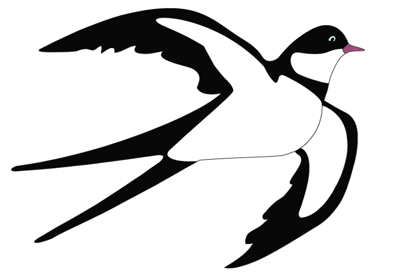 Swallow PNG Clipart