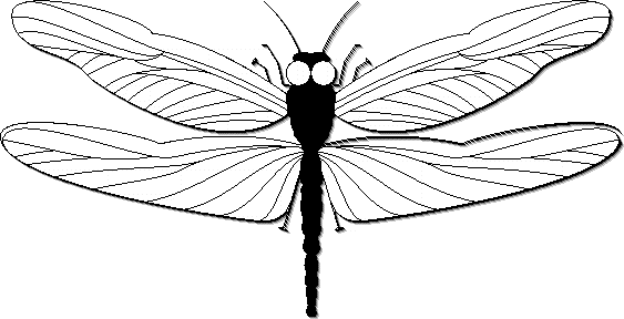 Free Dragonflies Clipart. Free Clipart Images, Graphics, Animated ...