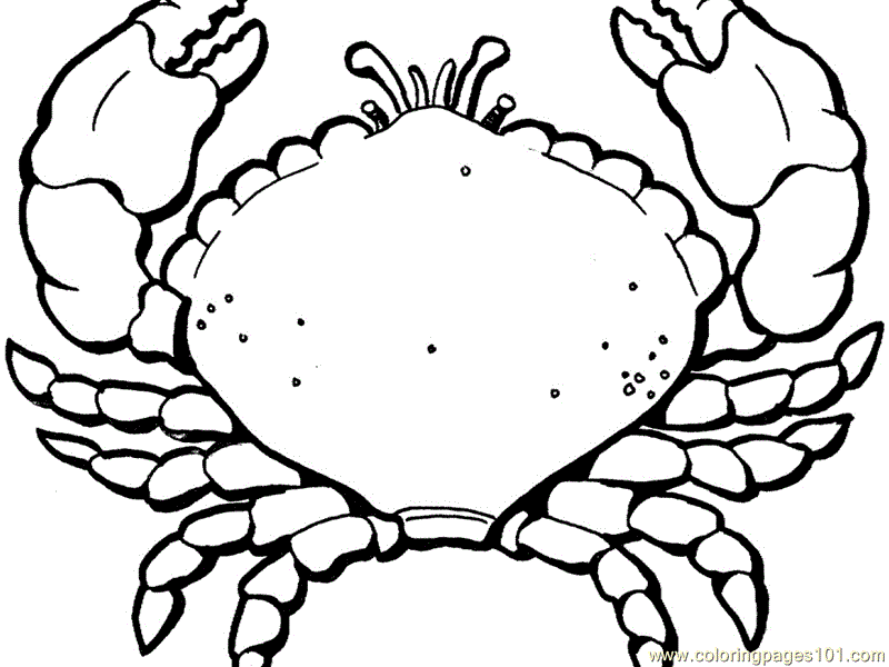 Coloring Pages Lobster (Natural World > Oceans) - free printable ...