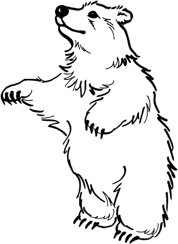 The Bear Stand Up Coloring Pages - Bear Coloring Pages : Online ...