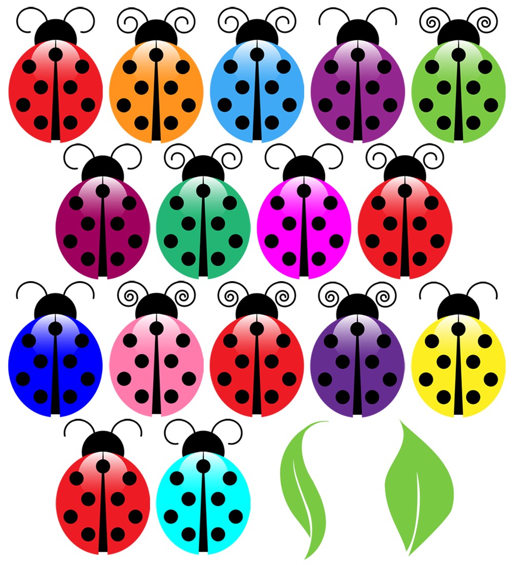 Popular items for ladybug clip arts on Etsy