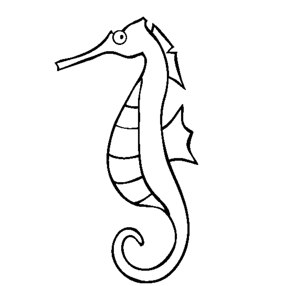 Seahorse coloring pages to print - Coloring Pages & Pictures - IMAGIXS