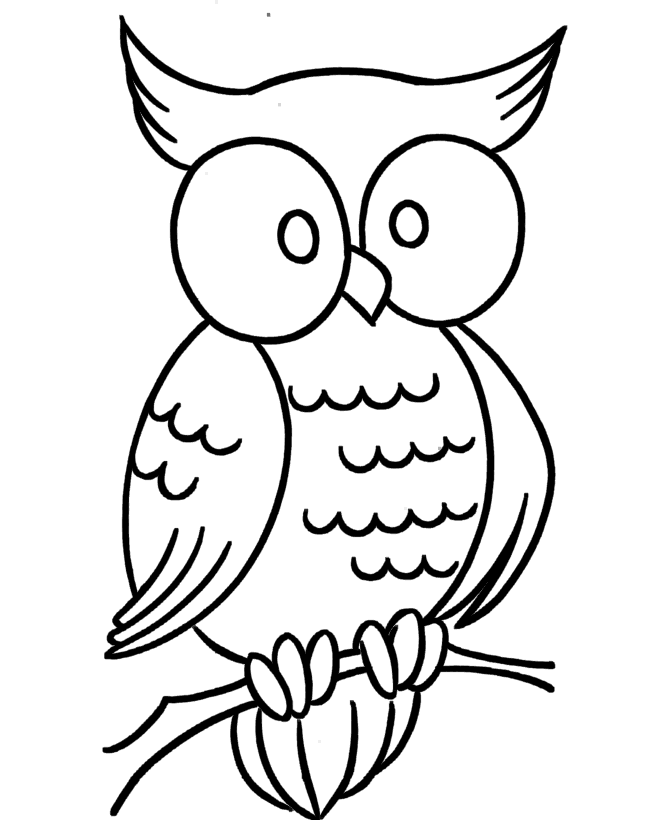 wise owl Colouring Pages