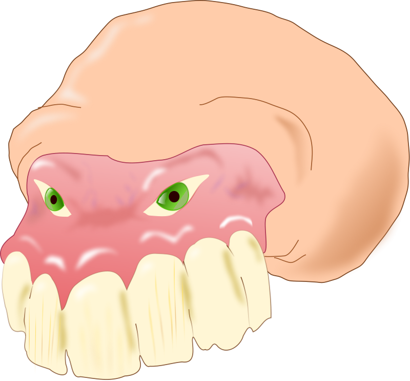 Tooth Molar Clip Art Download