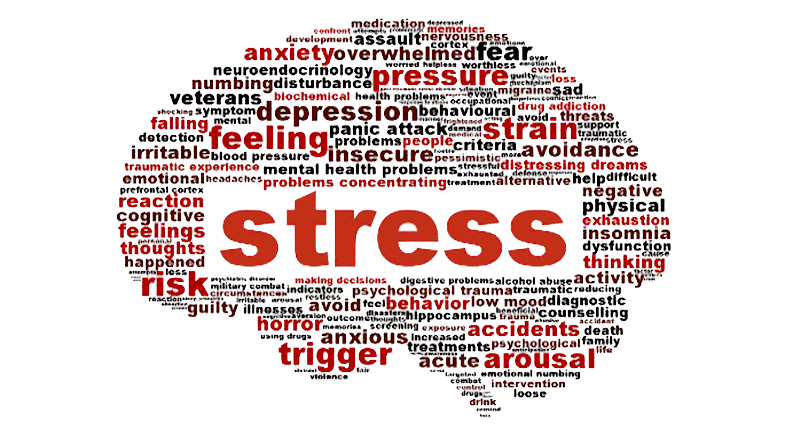 Neural Connections: Stress: Appraisal and Adaptation