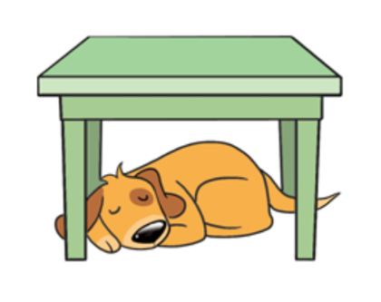 SMART Exchange - Canada - Sleeping dog