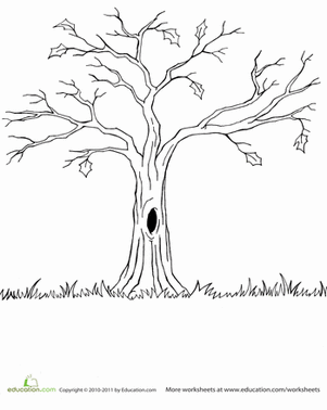 Bare Tree | Coloring Page | Education.com