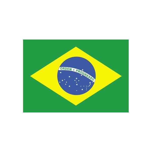 Flag Brazil - Inkwear